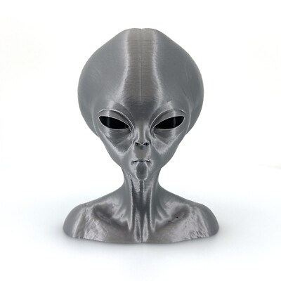 Roswell Grey Alien Bust 3D Printed | Zeta Reticuli Sci-Fi Collectible 4-12''