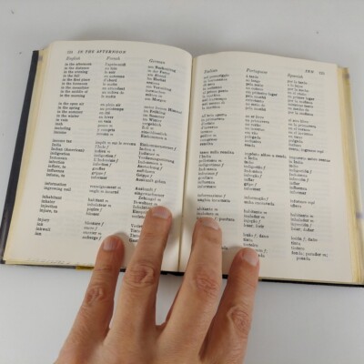 American Traveler's Companion G.S. DeLand Multi-Language Word and