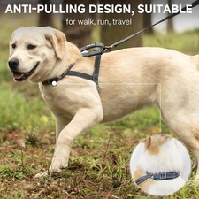 No Pull Dog Pet Harness and Leash Set Adjustable Control Vest Reflective Large