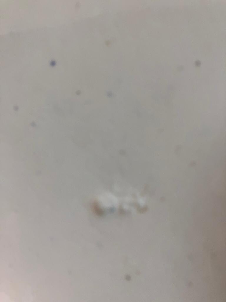 Picture 6 of 12