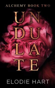 Undulate: A Hot Age Gap, Single Dad Romance (Alchem... | Buch | Zustand sehr gut