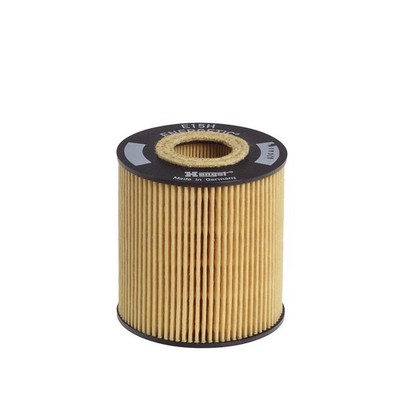 HENGST FILTER Ölfilter E15H D59 Filtereinsatz für BMW X5 OPEL E39 E46 E38 ROVER