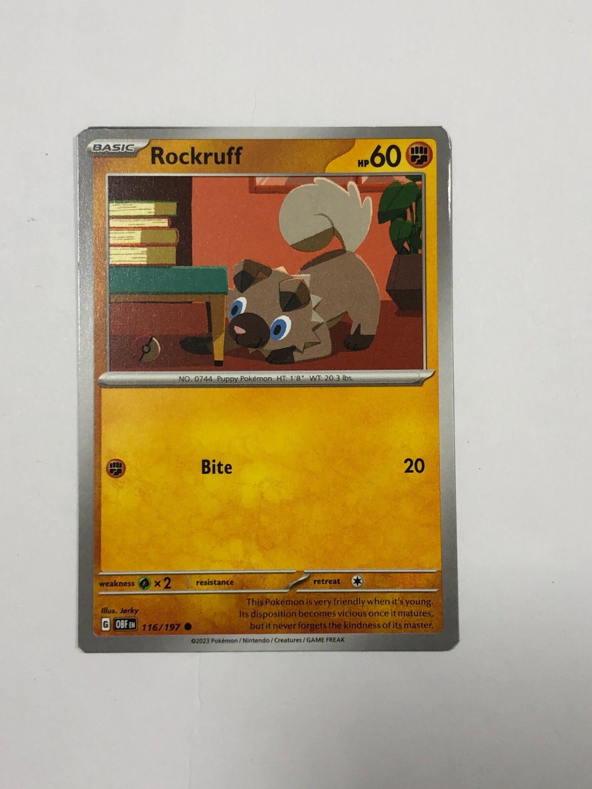 Pokemon Card Obsidian Flame Miscut Error Rockruff 116/197 NM