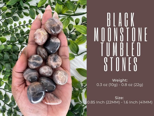 Black moonstone tumble stone - tumbled black moonstone - 0.9"-1.6" polished - Picture 5 of 10