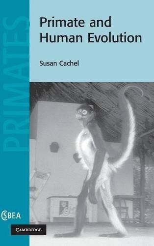 Primate and Human Evolution by Susan Cachel - 9780521829427