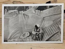 Memphis Egypt Head Of The Statue Of Rameses II Unposted RPPC PO120