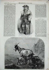 Original Old Antique Print 1857 Goats Willis Art Daddy Hardacre Olympic Theatre