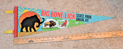 Vintage Souvenir Felt Pennant Big Bone Lick State Park Union, Kentucky 25"