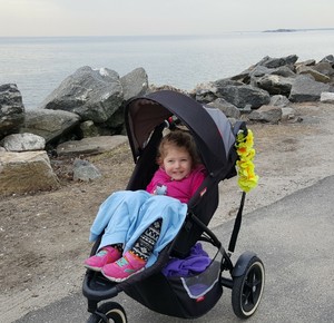 phil & teds double jogging stroller