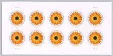 USA 2022 Stamps Global Forever African Daisy Sheet of 10