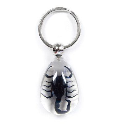 #ad SCORPION Real Keychain Ring Genuine INSECT Bug Clear Key Chain Keyring Lucite $11.40
