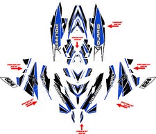 Polaris 05-16 iq racer Stripe