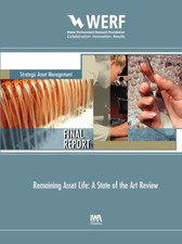 REMAINING ASSET LIFE by MARLOW, DAVID ET AL P...