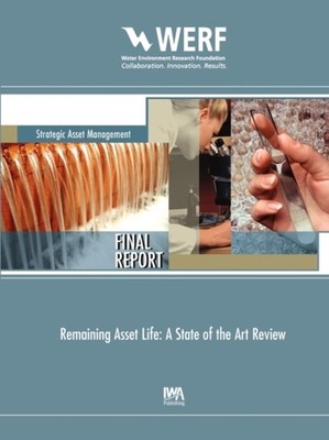 REMAINING ASSET LIFE by MARLOW, DAVID ET AL Paperback Self Help Business