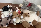 Lot Of 8 Vintage Cats Kittens Ty Beanie Babies Meow Cute Adopt Kitty