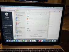 Apple MacBook 12 in 2017 Gold/Intel Core M3 1.2 GHz, 256 GB 8 GB Intel HD