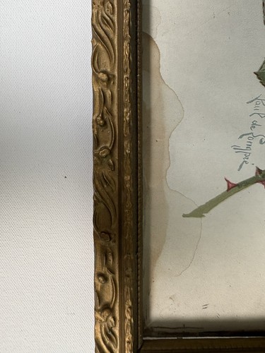 Antique Original Paul de Longpre Red Roses Art Print Original Gold Frame - Picture 8 of 17