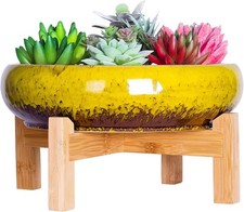 ARTKETTY Succulent Plant Pot - Large Bonsai Pot with Stand Shallow Cactus Plant