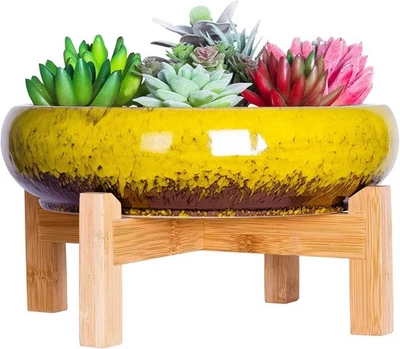 ‎ARTKETTY ARTKETTY Succulent Plant Pot - Large Bonsai Pot with Stand Shallow Cactus Plant