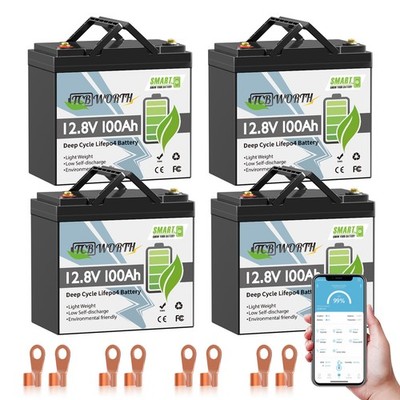 48V 100Ah LiFePO4 Lithium Batterie Bluetooth BMS 1280WH Solar Wohnmobil Boot