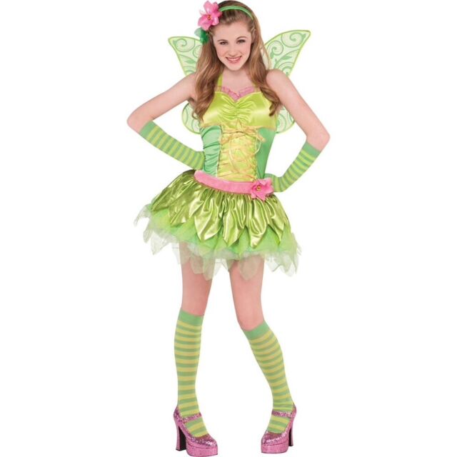 Adult Tinker Bell Costume Disney Princesses Fairies Tinker Bell Large ...