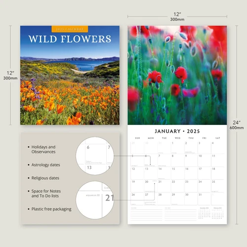 Wild Flowers 2025 Square Wall Calendar