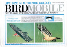 Card Model Kit of British Wild Bird – Lesser Spotted Woodpecker
