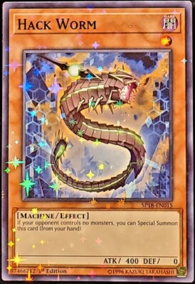 Hack Worm SP18-EN015