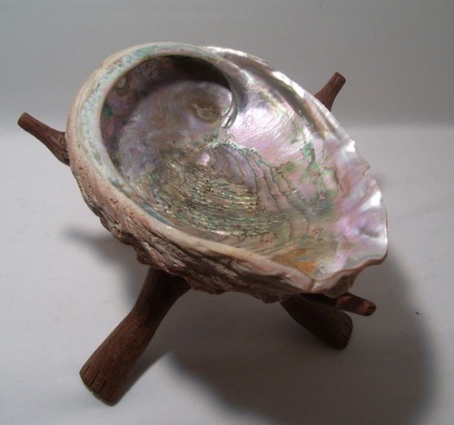 Vintage Rare One of a Kind Large Iridescent Abalone Seashell on wood stand - Picture 3 of 12