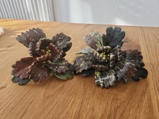 Edelsteinblüten von Klaus Drexel