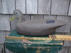 BLACK DUCK RUBE CORLISS NEW JERSEY DUCK DECOY  NR — photo 3
