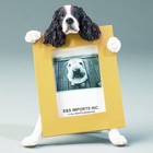 Springer Spaniel Picture Frame #42