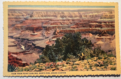 1938 VIEW FROM POINT SUBLIME GRAND CANYON Scalloped Linen Postcard B3