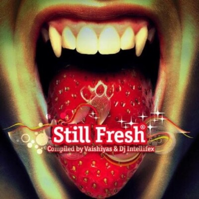 STILL FRESH BY VAISHIYAS & DJ INTELLIFEX - SONIC CUBE, NOK, MAGNETRIXX - CD NEU