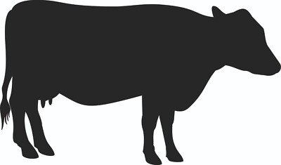 Car Sticker Cow Sticker Desired Color Approximately 200 X 150 Mm