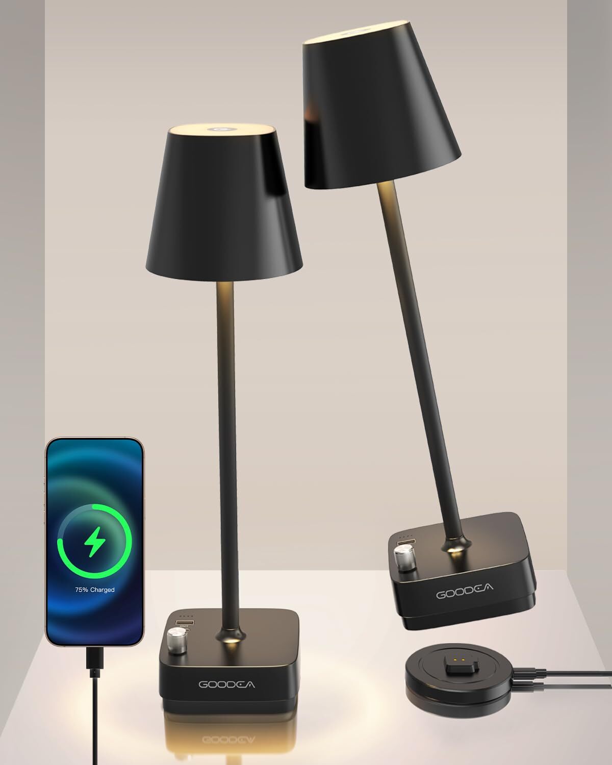 2 Pack Cordless Table Lamp with 6000mAh Battery Charging Base