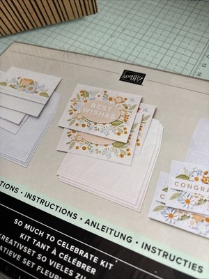 Stampin Up Paper Pumpkin So Much To Celebrate