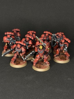 Warhammer 40k, Blood Angels, Intercessor Squad, Armageddon, pro painted