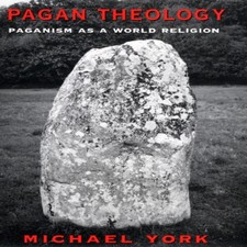 Pagan Theology Paganism as a World Religion Michael York Paperbac