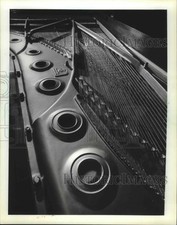 Foto stampa nuovo pianoforte a coda Steinway alla Milwaukee Symphony Orchestra