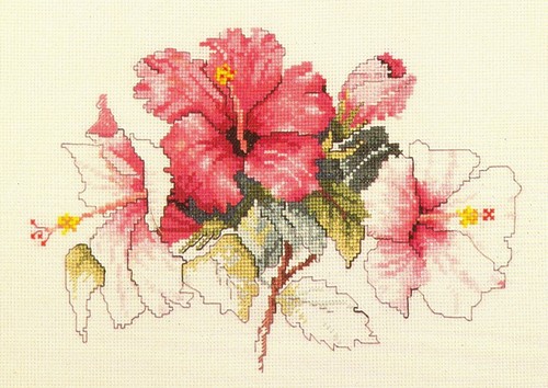2 Janet Powers Roses I and Hibiscus X-stitch Designs - Picture 2 of 2