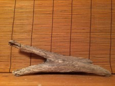 Beautiful 14" DRIFTWOOD Piece Terrarium Taxidermy Aquarium Art Reptile DECOR