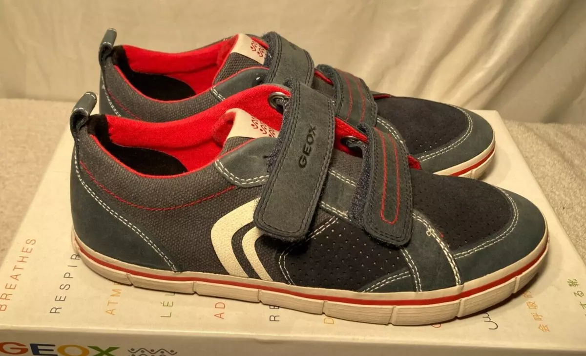 Geox Boys Kiwi Blue Red Suede Riptape Trainers UK 3 36 47.50
