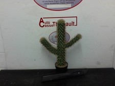 Baguette de porte Citroen SAXO