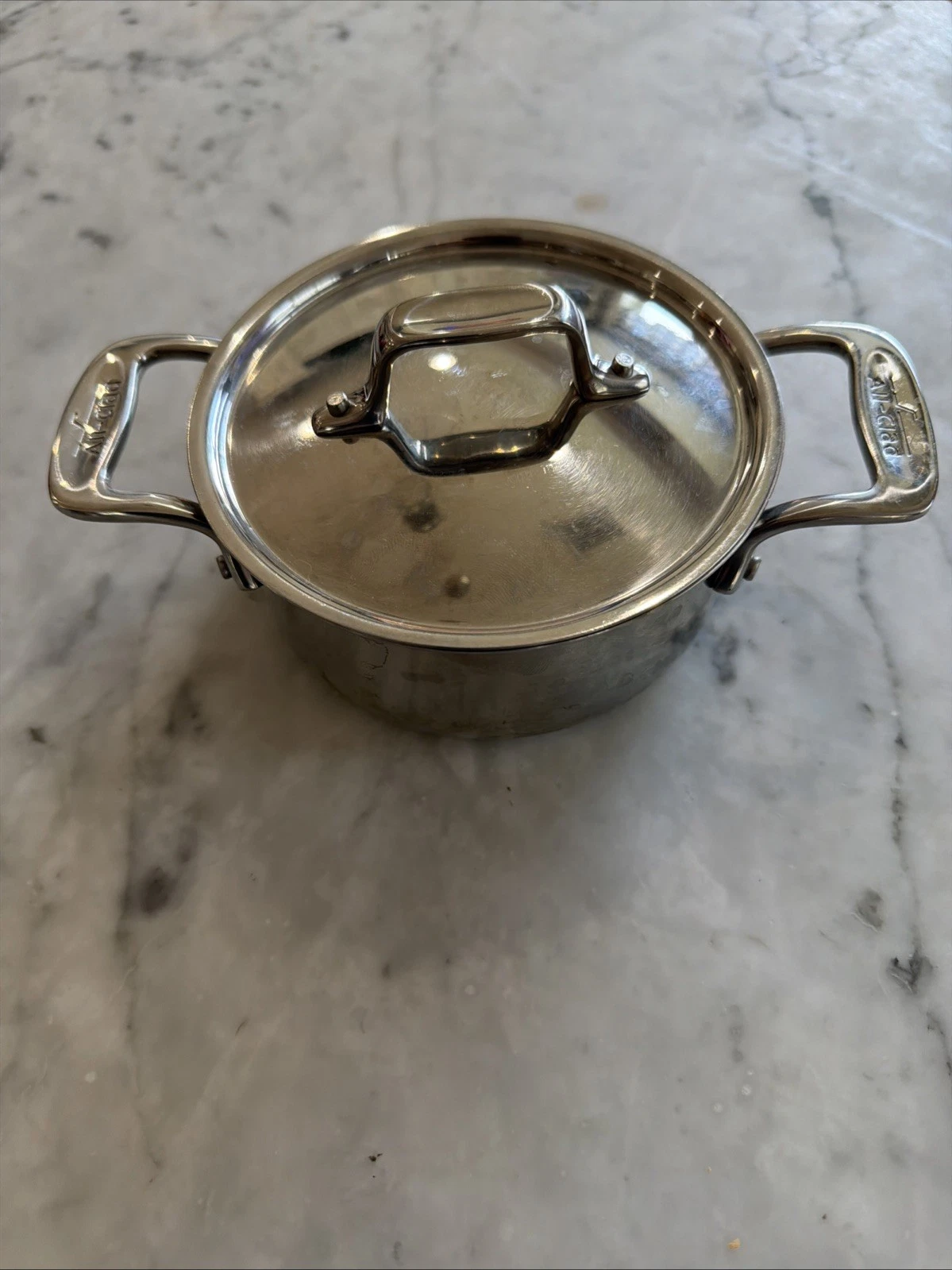 All-Clad Stainless Steel Mini Dutch Oven Cocotte Pot with Lid .5 Qt 89 205-3051
