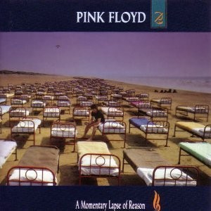 Momentary Lapse of Reason