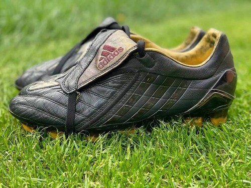 Adidas Predator Powerswerve TRX FG Rome 