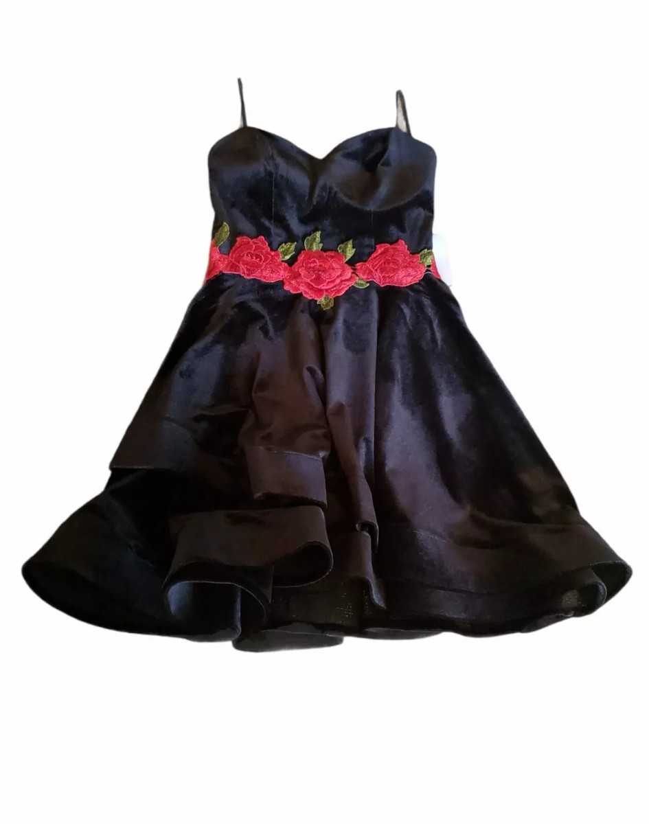 Flare Dress B Darlin Dresses Amazon Darlin Womens Juniors Embroidered Mini  Fit Flare Dress