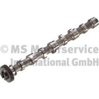 Kolbenschmidt Nockenwelle 50007020 FüR VW Seat Skoda Audi