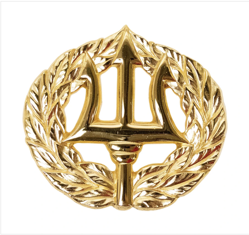 GENUINE U.S. NAVY BADGE: COMMAND ASHORE - REGULATION SIZE | eBay
